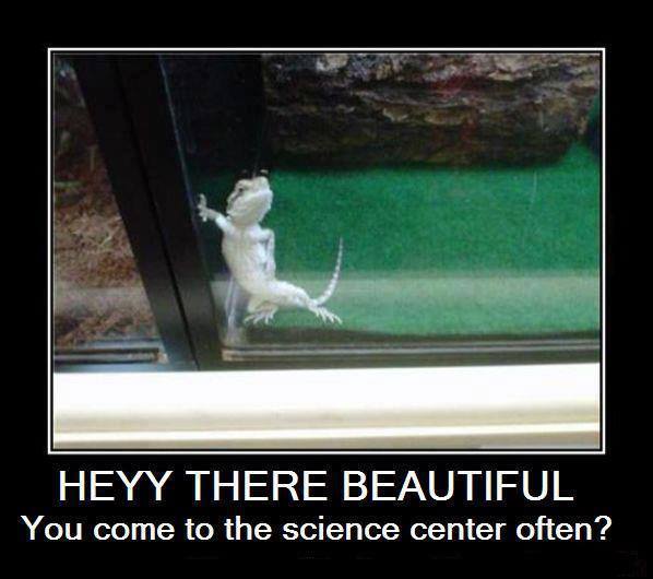funny image